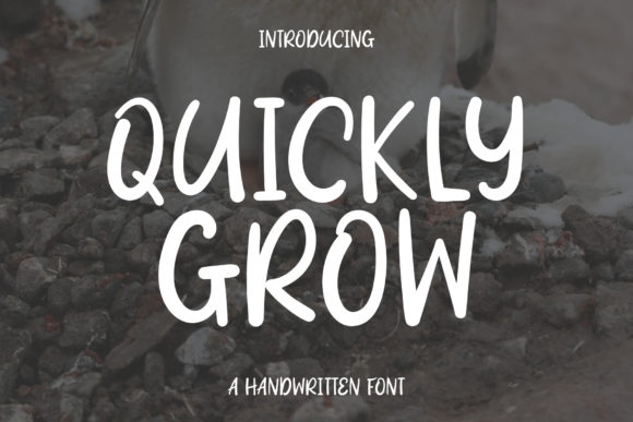 Quickly Grow Typeface for Modern Web Design