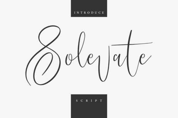 Solevate: The Script Handwritten Font for Modern Brands