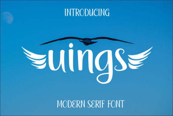 Uings Font for Professional Small Business Branding